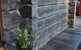 Elamukompleks põhjarannikul